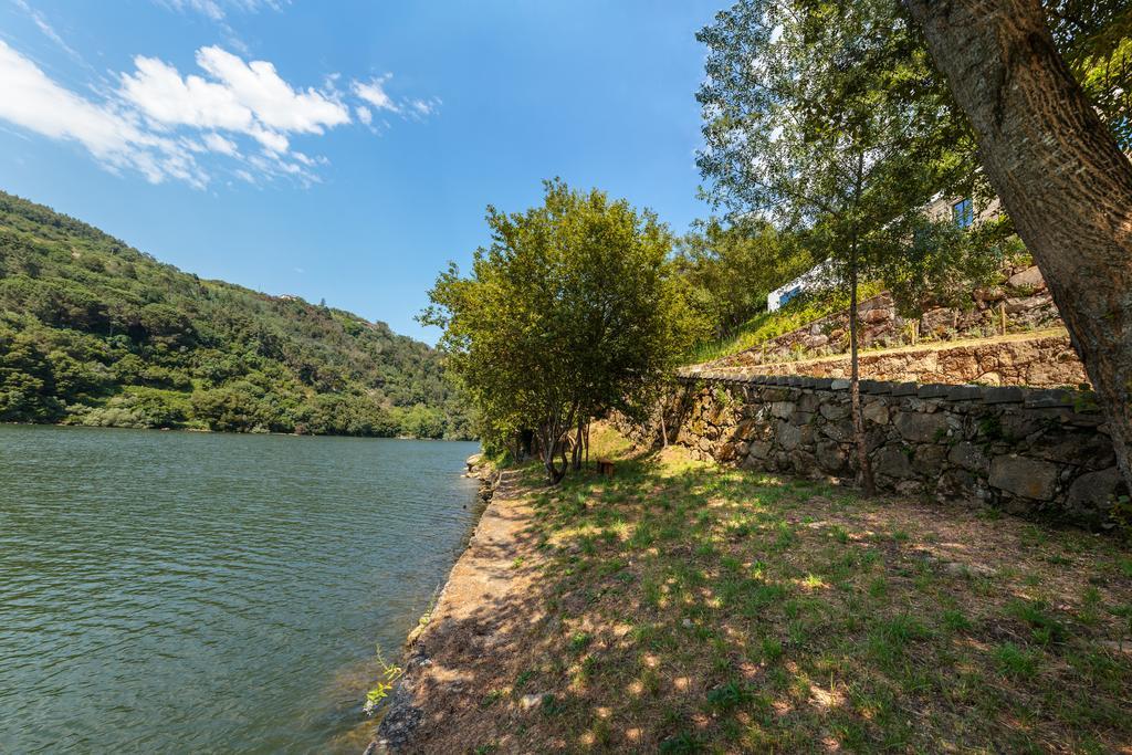 Douro Green Кащело де Пайва Екстериор снимка